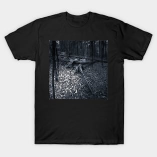 The Woodlands T-Shirt